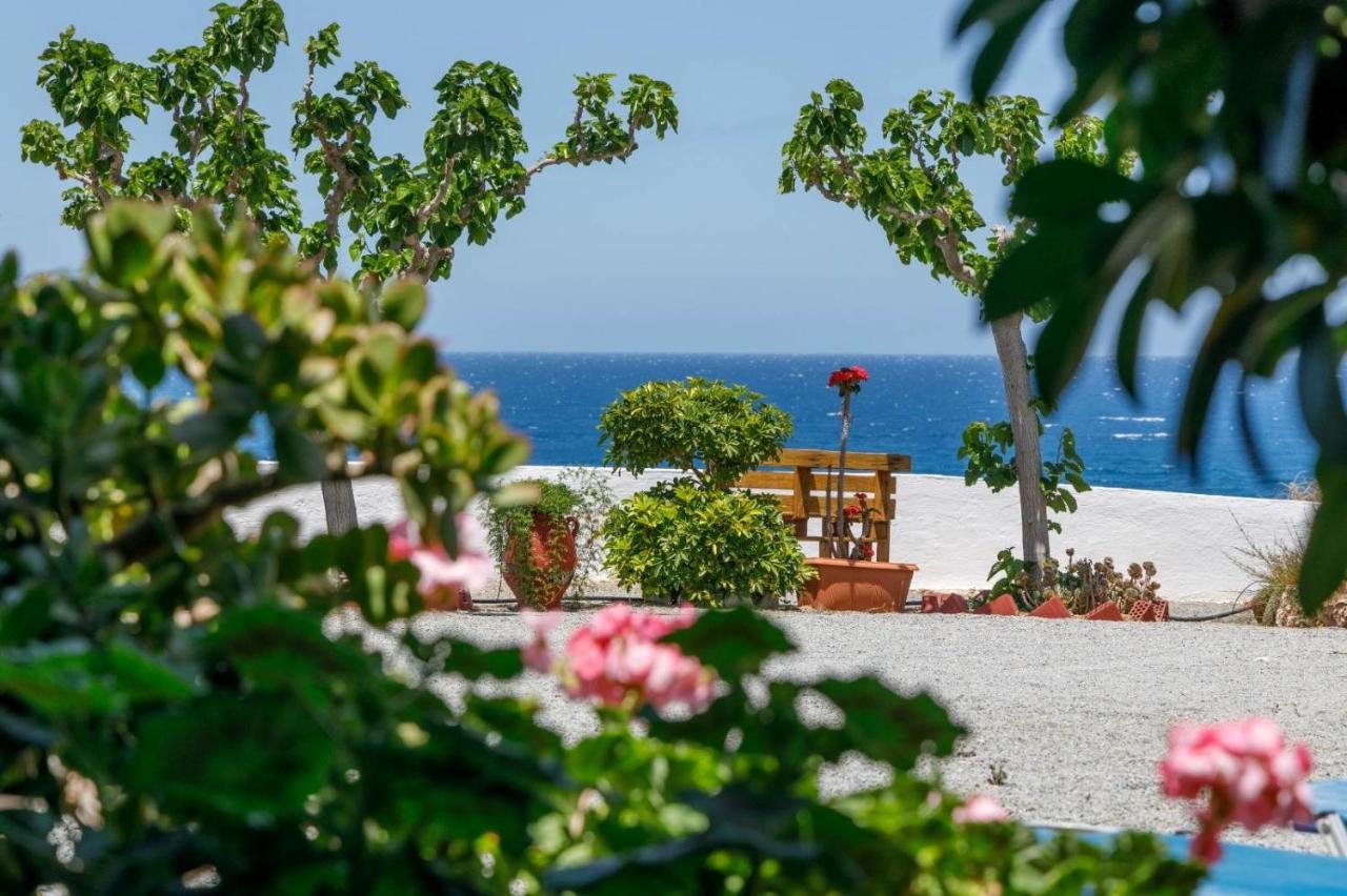 Creta Sun Mochlos Zewnętrze zdjęcie